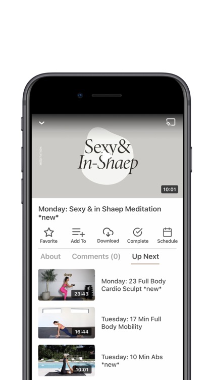 shaep by Kelsey Rose