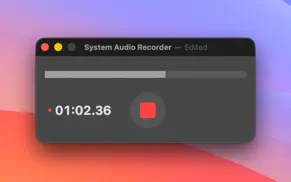 system audio recorder iphone resimleri 3