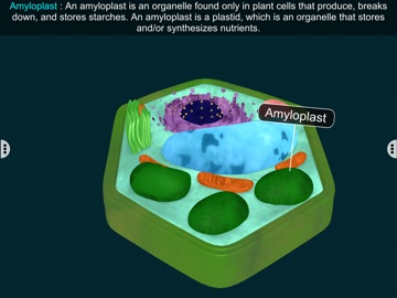 Plant Cell by EduTech Era iPad screenshot