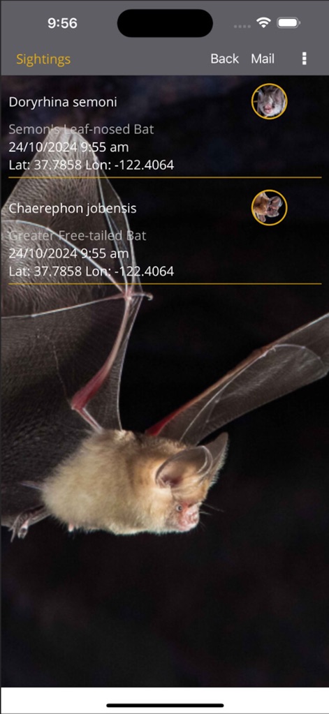 Field Guide to Australian Bats - App de Referencia | MWM