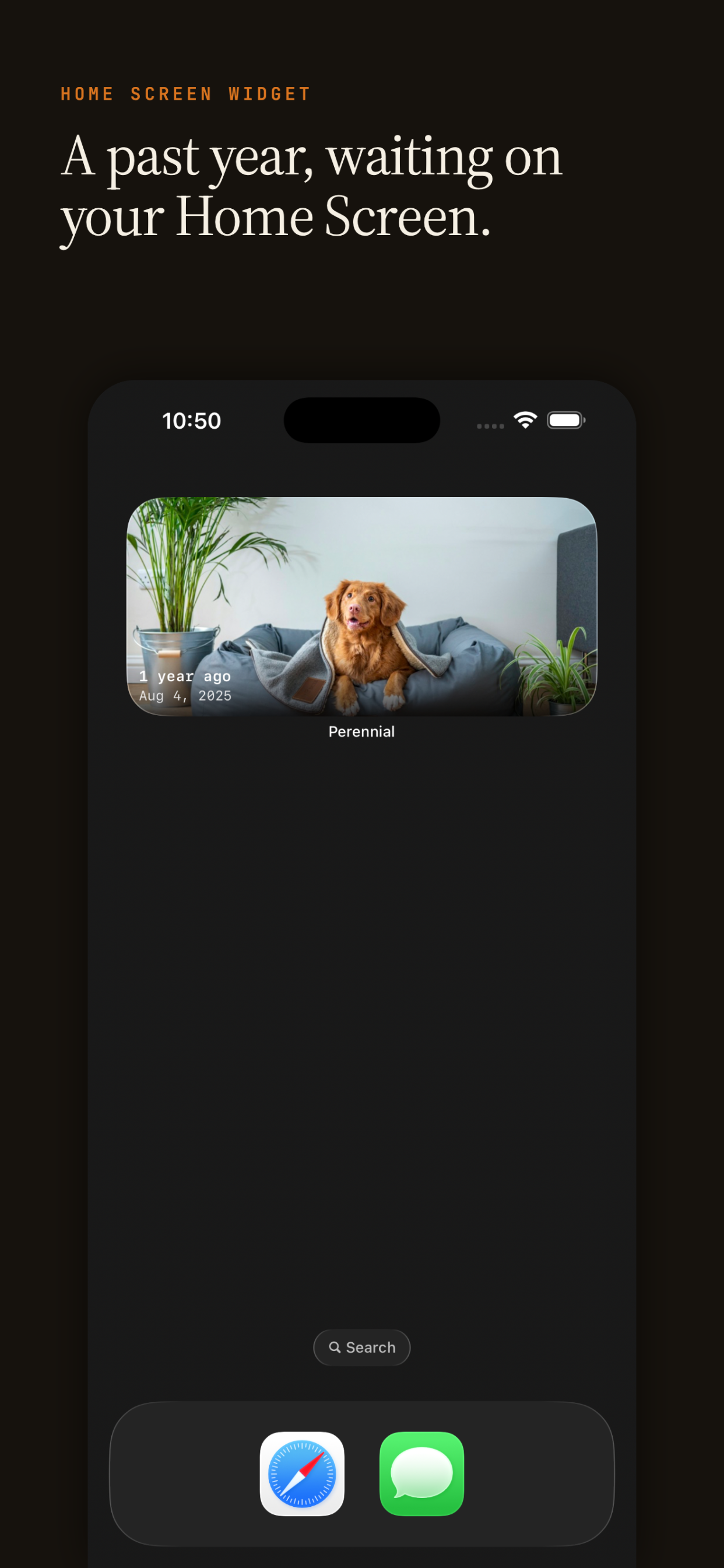Perennial: This Day Every Year screenshot 5