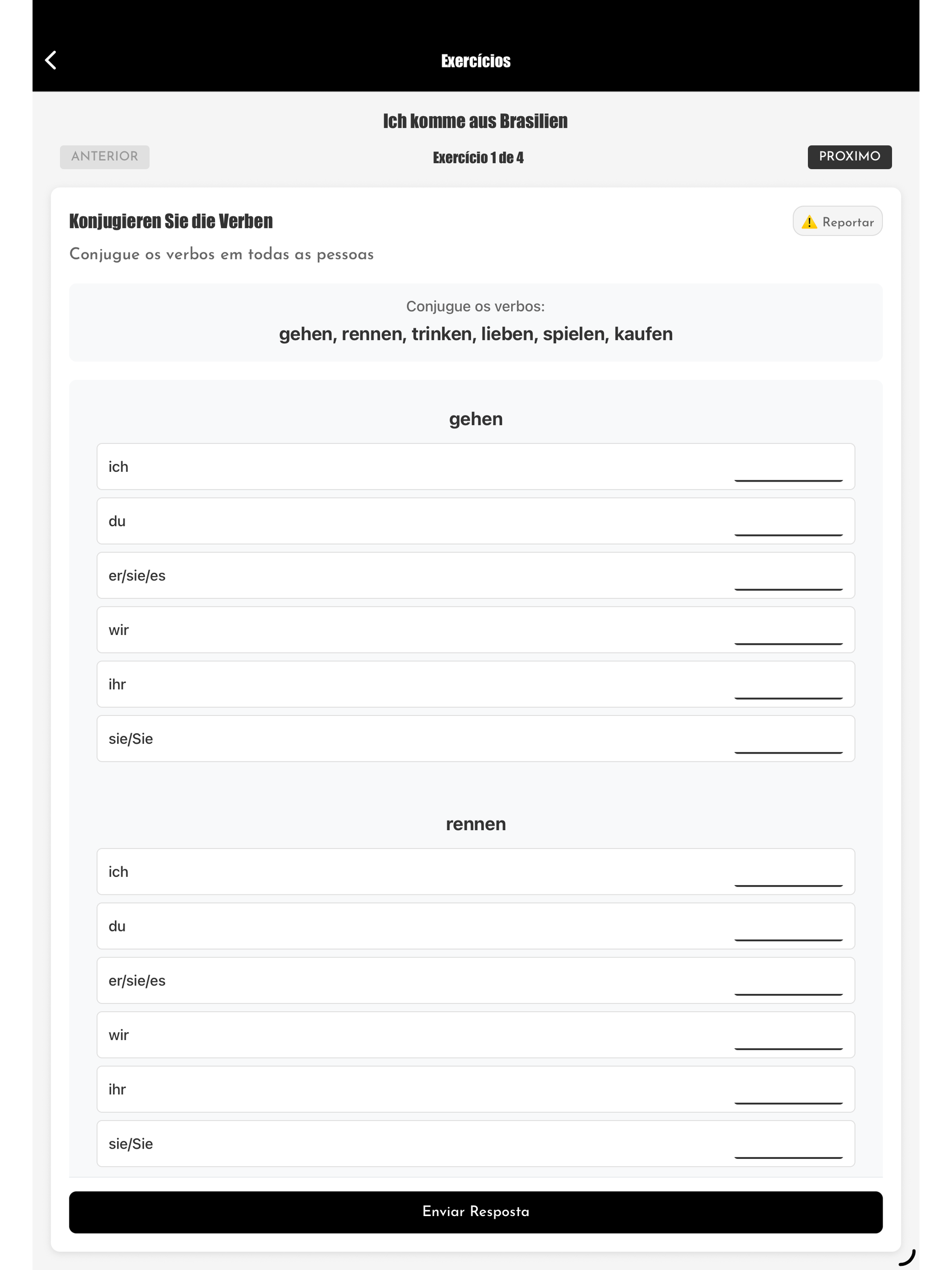 Aulas de Alemão Hin und Zurück screenshot 7