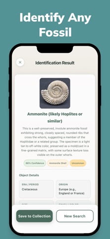 Fossy: Fossil Identifier screenshot