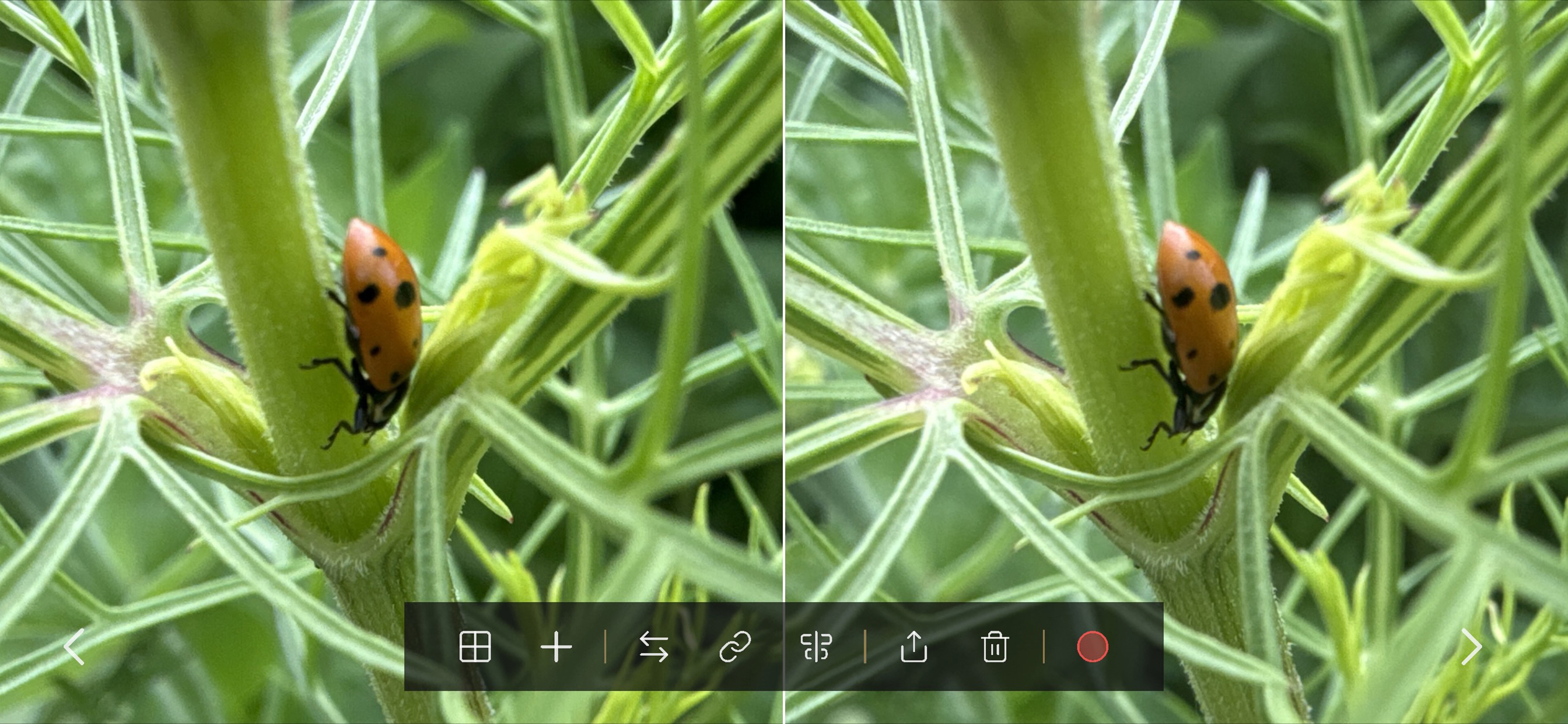 StereoPix screenshot 3
