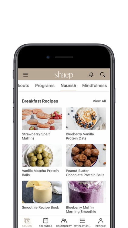 shaep by Kelsey Rose