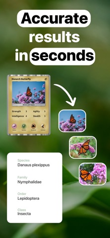 InsectQuest: Bug & Spider ID Screenshot 7 of 7