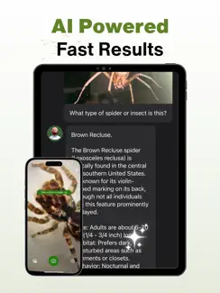 Spider Identifier - AI Scanner iPad image 3