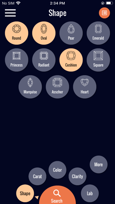 RADIIA Screenshot