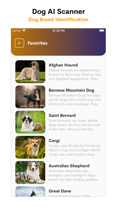 Dog Identifier- Breed detector Screenshot