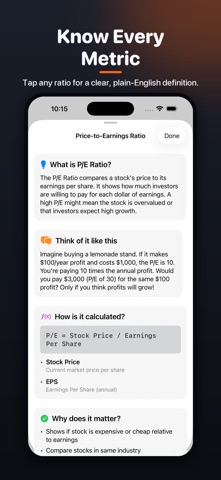 Stock Screener: SEC Analysis Screenshot 5 of 6