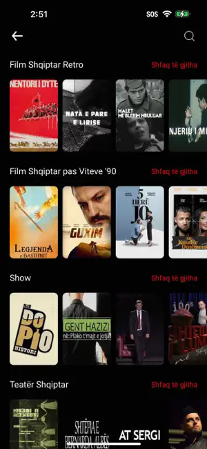 DigitAlb screenshot 4