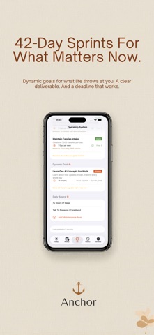 Anchor: Discipline Framework screenshot