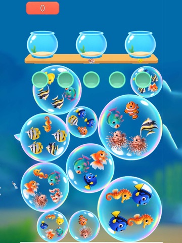 Fish Sort Bubble jam Puzzle iPad screenshot