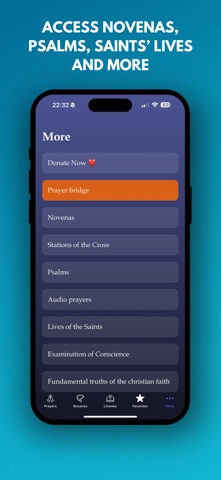 Daily Catholic Prayer: Rosary iPhone screenshot 6