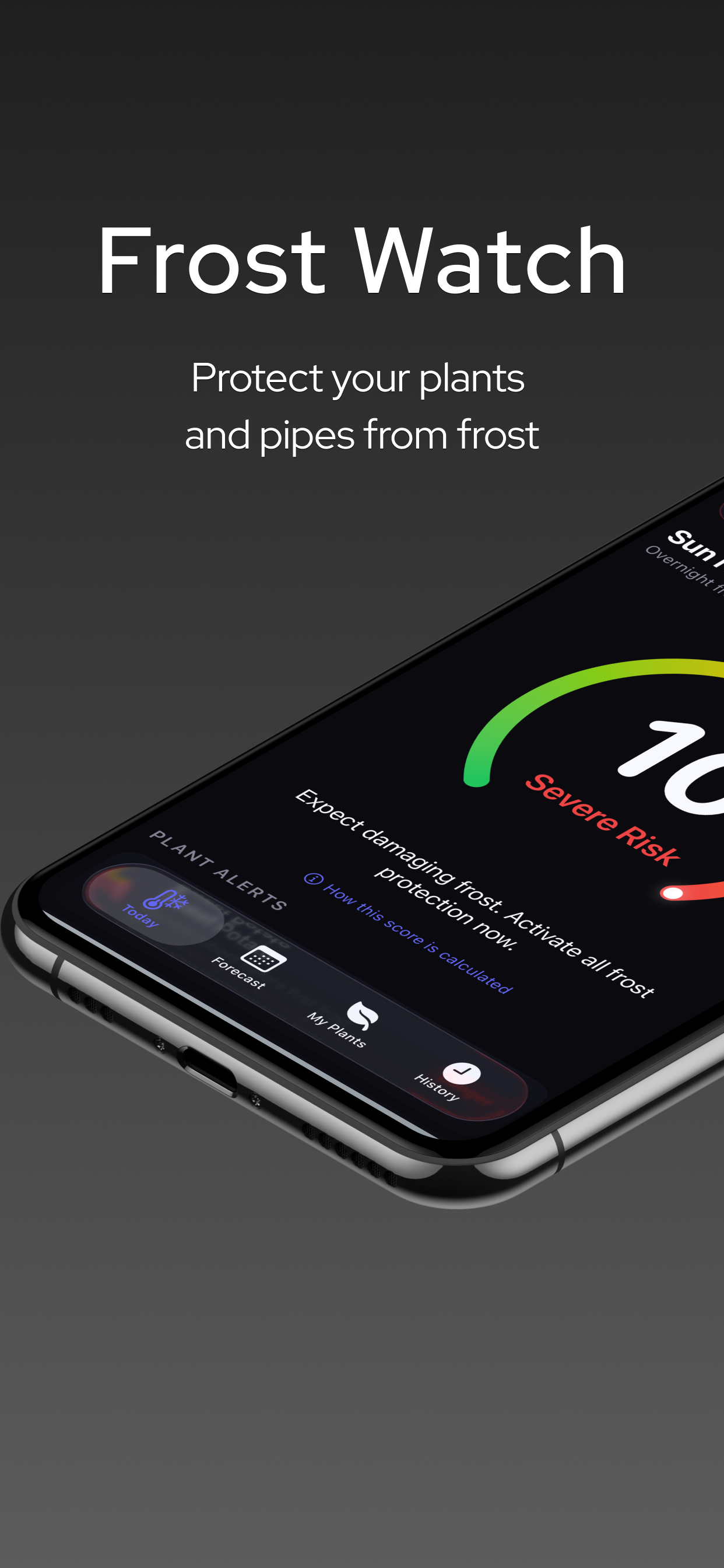 Frost Watch