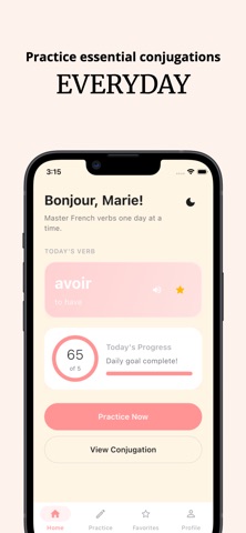 French Conjugation Practice iPhone screenshot