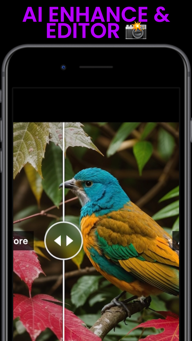 Photo Cleaner Storage Clean PX Screenshot