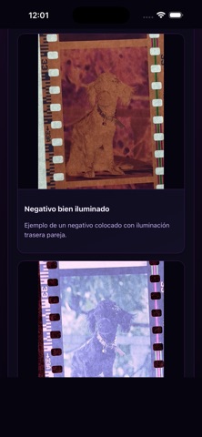 Revelado Virtual screenshot