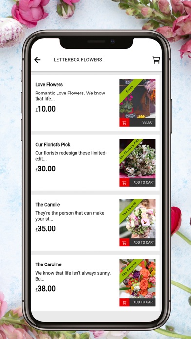 V1 Flowers Screenshot