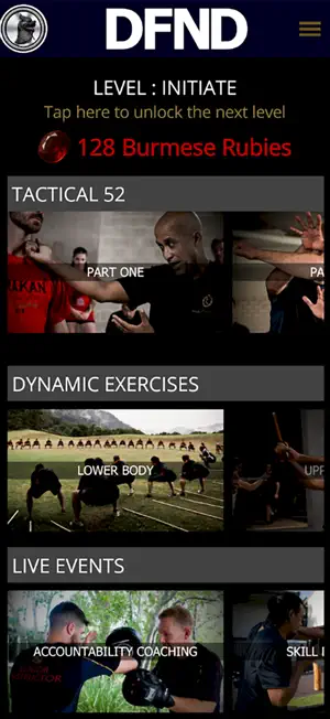 DFND screenshot 1
