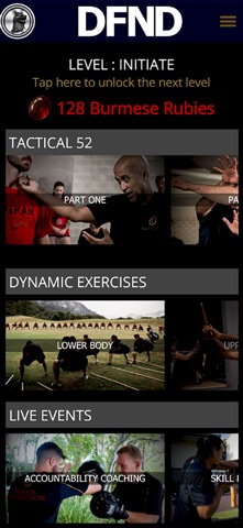 DFND screenshot