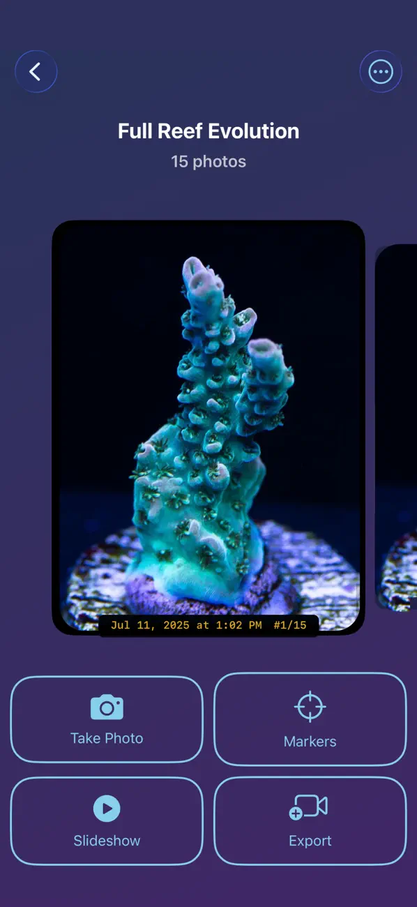 Screenshot #2 pour Aquarium Timelapse