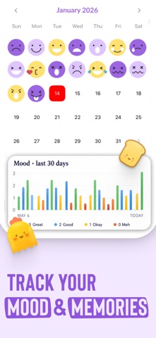 Digital Journal Diary screenshot 4