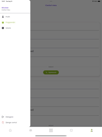 Servicii Spa Therapy Moldova iPad screenshot