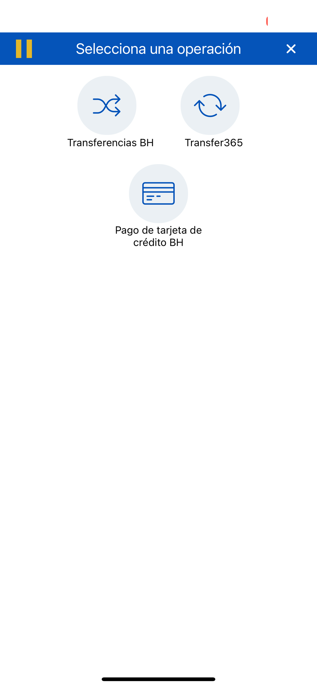 App Móvil BH
