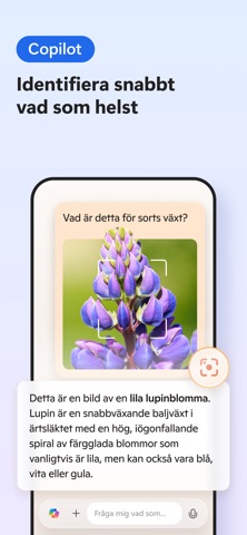 Microsoft Edge App Store preview screenshot 5