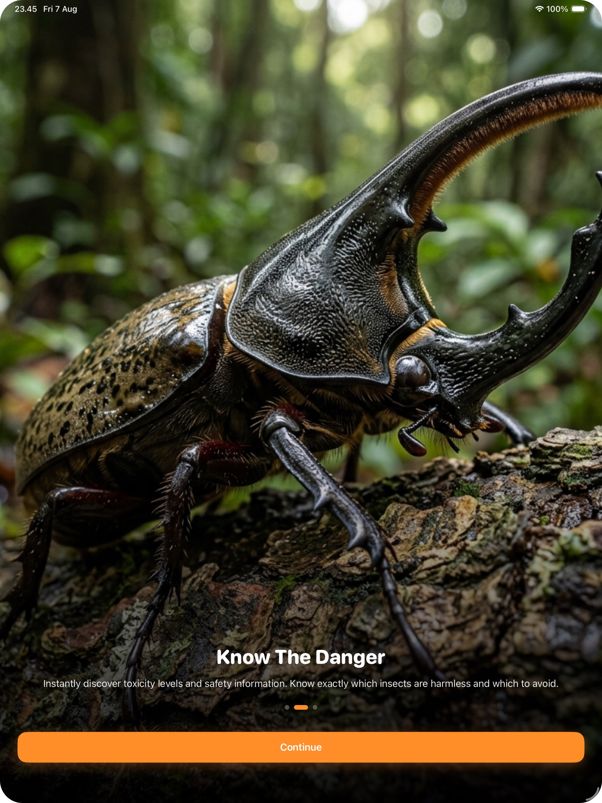 Insect Identifier: AI Bug Scan screenshot 7