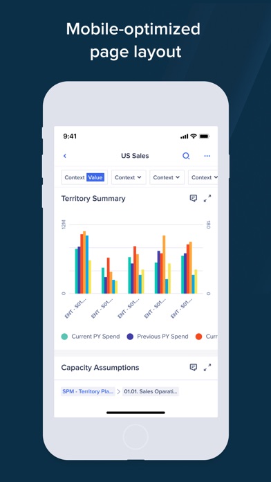 Anaplan Screenshot