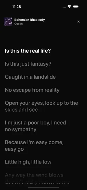 Live Lyric screenshot 3