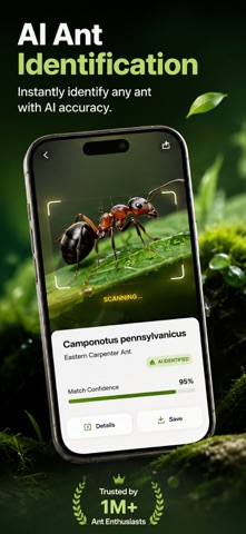 Ant Identifier: Scan & Care Screenshot 1 of 5