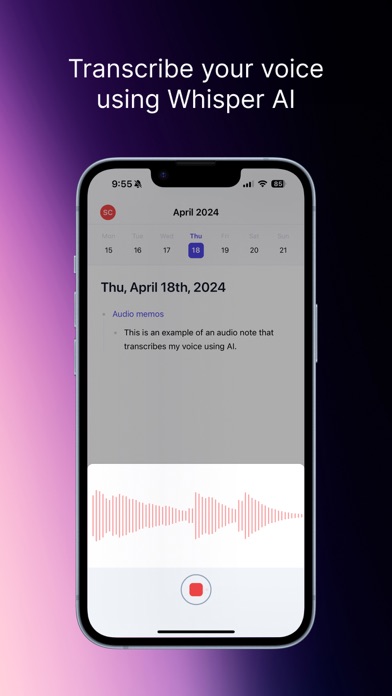 Reflect Notes Screenshot