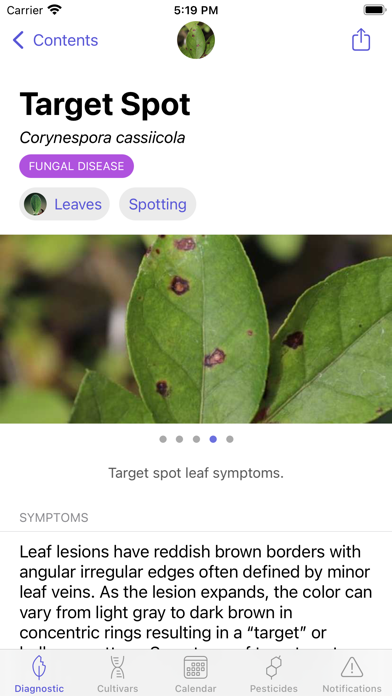 UF Blueberry Growers Guide Screenshot