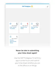 SAP Fieldglass Time Entry ipad bilder 0