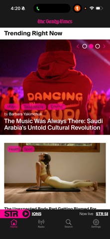 The Sandy Times screenshot