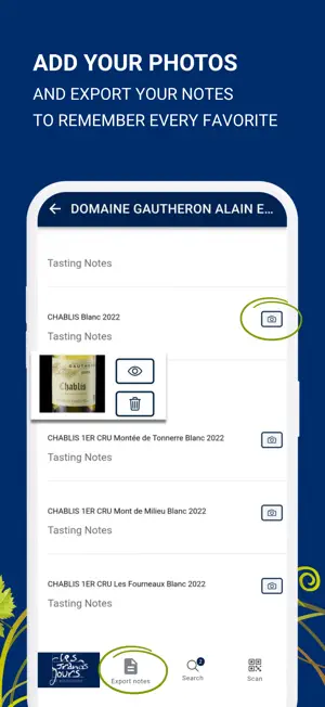 Grands Jours de Bourgogne screenshot 3
