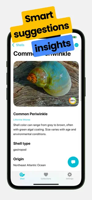 Sea Shell Identifier: Ocelexia screenshot 4