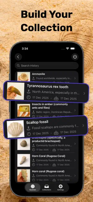 Fossil Identifier & Rock ID screenshot 4