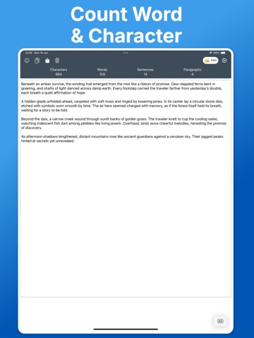 Word Count ™ iPad screenshot