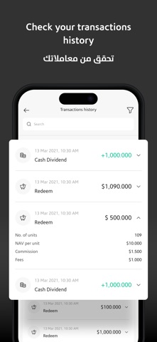 Boubyan Capital screenshot