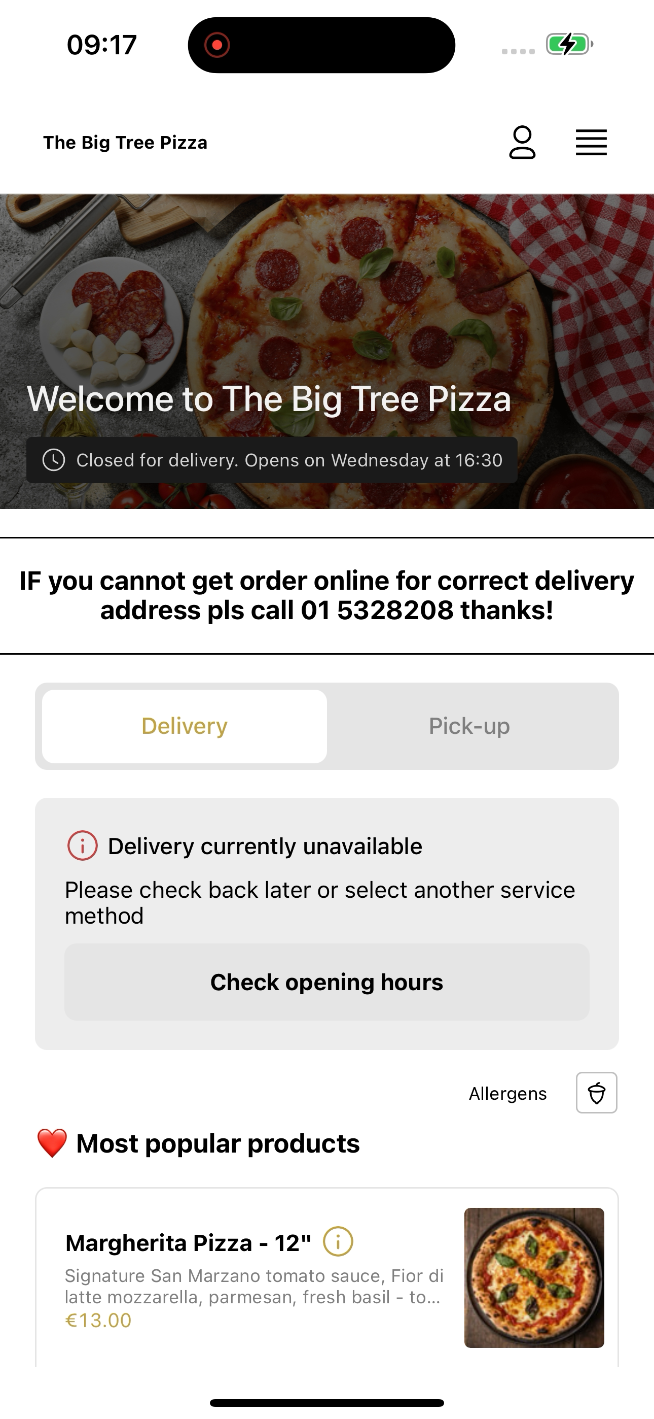 The Big Tree Pizza screenshot 5