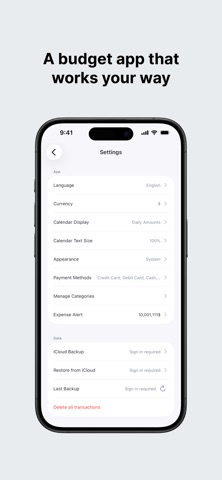 DayLedger - Simple Budget Screenshot 8 of 8