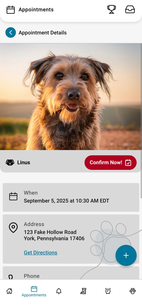 PetPage - 이 화면은 사용자가 특정 진료의 날짜와 시간, 그리고 정확한 병원 주소를 포함한 상세 정보를 확인할 수 있도록 합니다. '경로 안내' 기능을 통해 병원 위치를 쉽게 찾을 수 있습니다.
