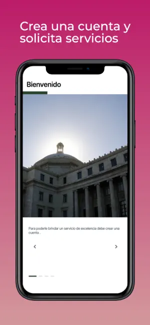 Servicios Camara PR screenshot 1