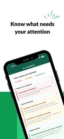 Nummbas: DTC business finance screenshot