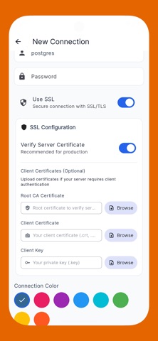 PostgreSQL Visual Manager Screenshot 3 of 8