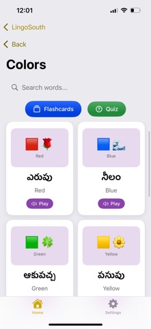 Lingo South screenshot